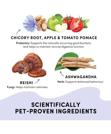 Crumps' Naturals Gutsy-Calm Bites 4.6oz/130g - Buy Online on GoSupps.com