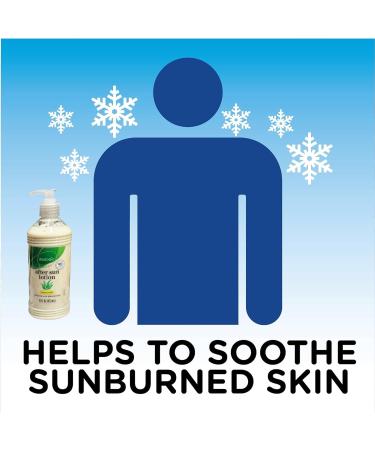 Daylogic After Sun Lotion with Aloe Vera Pack of 2 Cooling and Hydrating Sunburn Relief Body Moisturizer for Sun-Burnt Skin Fast-Absorbing Non-Greasy Formula Paraben Free 16 oz. Each - Buy Online on GoSupps.com