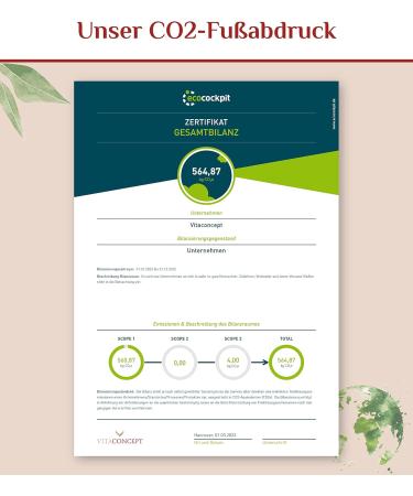 Vitaconcept I Cultures Complex with Inulin - 200 Gastrointestinal Capsules | Probiotic Bacterial Strains - Lactobacillus & Bifidobacterium - Made in Germany - Buy Online on GoSupps.com