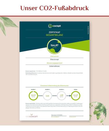 VITACONCEPT Barley Grass Capsules - 1500 mg Vegan Powder 180 Pieces - Laboratory Tested Made in Germany for Optimal Health - Buy Online on GoSupps.com