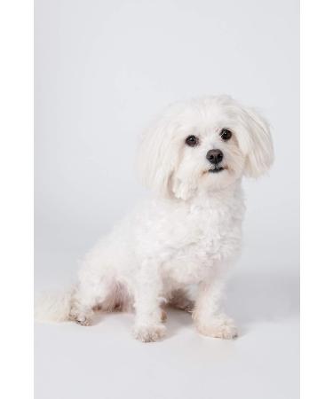 Karlie Dog Shampoo for White Fur - 300ml | Premium International Shipping - Buy Online on GoSupps.com