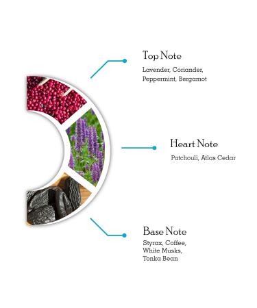 SaraQael 3.3 oz. Eau de toilette spray - Buy Online on GoSupps.com