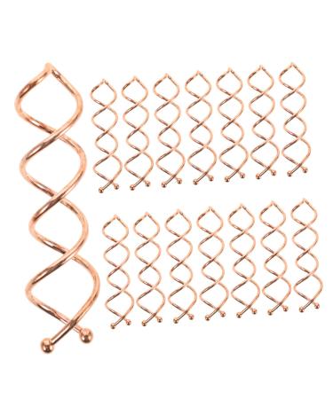 Beaupretty 20st haircrooning clamps hair jewelry for women bobby hair screw hairpins for rolls small bread roll hair needles spiral hair needle made of metal dense woman south korea