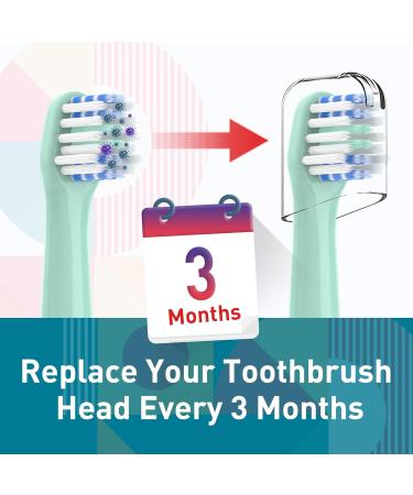 Toothbrush Replacement Heads for Colgate Hum - Compatible Smart Battery Electric Brush Heads (10 Count) - Green - Buy Online on GoSupps.com