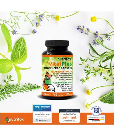 Nutrifox -120 Blood Sugar Capsules | Vital Plus Formula with Ceylon Cinnamon Zinc & More | 2-Month Supply for Diabetes Management - Buy Online on GoSupps.com