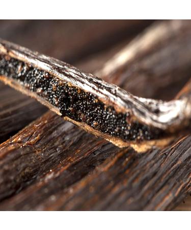 Organic Grade A1 Madagascar Vanilla Beans 2023 - 15 Pods, 6-7 inches - Fresh ZIP Bag - Grand Cru Quality - Buy Online on GoSupps.com