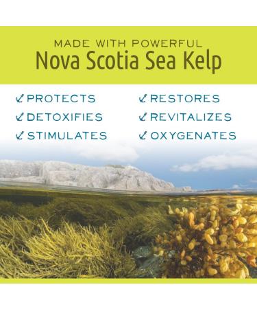 Buy Stem to Stern Pack - Natural Mini Soap Lip Balm Hand & Body Cream Rescue Balm | Made with Nova Scotia Sea Kelp | International Shipping - Buy Online on GoSupps.com