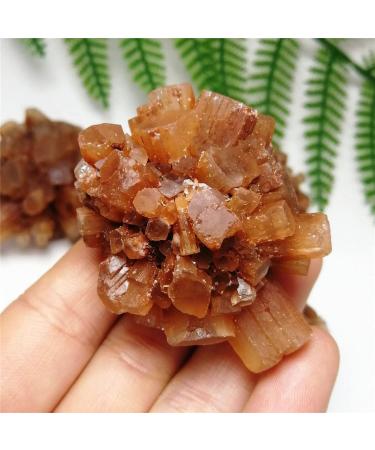 Natural Crystal Rough Natural Crystal Rough 1pc Natural Rare Red Aragonite Quartz Crystal Cluster Ornaments Rough Stone Cluster Specimen Home Decor (Color : As Shown Size : 60-70g) 60-70g As Shown - Buy Online on GoSupps.com