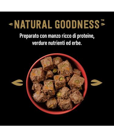 Cesar Natural Goodness Wet Dog Food with Beef & Vegetables - 6 Cans (400g Each) | 2.4kg Total - Premium Pet Nutrition - Buy Online on GoSupps.com