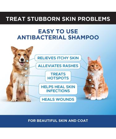 PetHonesty Chlorhexidine Shampoo with Ketoconazole & Aloe - 16 Oz for Dogs & Cats - Buy Online on GoSupps.com
