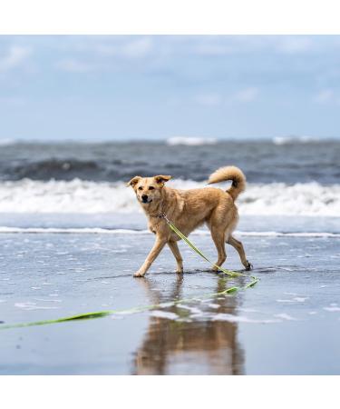 500 cm Neon Yellow Rubberized Dog Leash Without Hand Loop - Durable & Stylish for International Shipping - Buy Online on GoSupps.com