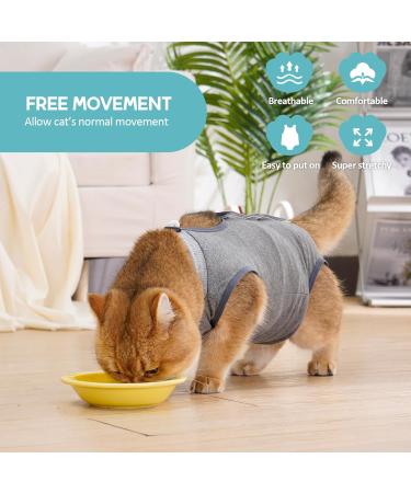 Avont Cat Recovery Suit 2 Pieces - Leak Protection for Abdominal Wounds Skin Diseases & Post-Op Recovery Large Dark/Light Gray - Buy Online on GoSupps.com