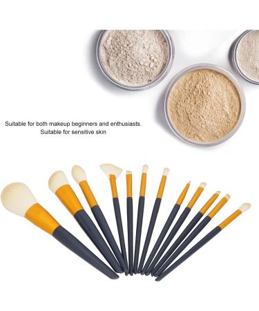 12 Piece Professional Makeup Brushes Set with Synthetic Fiber Hair Easy Application Precise Results Powder Eyeshadow Blush Highlighting Brushes - Buy Online on GoSupps.com