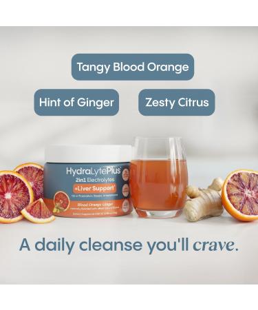 Hydralyte Liver Support + Electrolyte Mix with Milk Thistle Turmeric Ginger Prickly Pear Green Tea Extract Formulated for Rapid Rehydration (Blood Orange Ginger 40 Serve Tub) - Buy Online on GoSupps.com