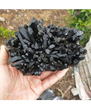 for Beautiful Black Quartz Crystal Cluster Specimen Natural Quartz Minerals Stone Specimen FUZEGRDLI (Size : 450-500g) - Buy Online on GoSupps.com