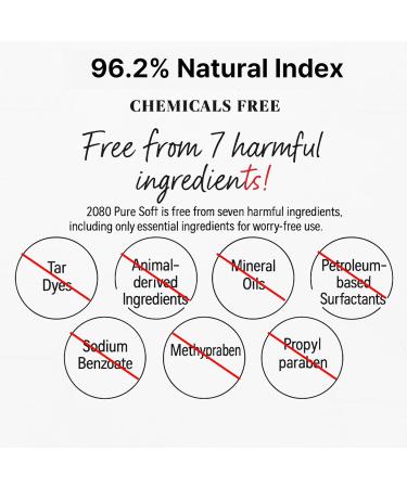 Pink Mountain Tooth Paste with Himalayan Pink Salt 100g - 2 Pack - Natural Oral Care with 96.2% Natural Ingredients - Toothpaste for Daily - Natural Ingredients - Mild Mint Flavor - Buy Online on GoSupps.com