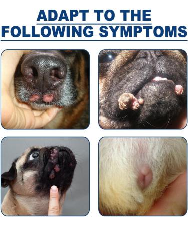  1/2/3/4/5Pcs Natural Dog Wart Removal Treatment | Dog Wart Remover | Dog Skin Tags with no Harm and Irritation | Effective Painless Wart Removal Treatment | Treatment for Dog Warts | 20ml (1Count (Pack of 1)) - Buy Online on GoSupps.com