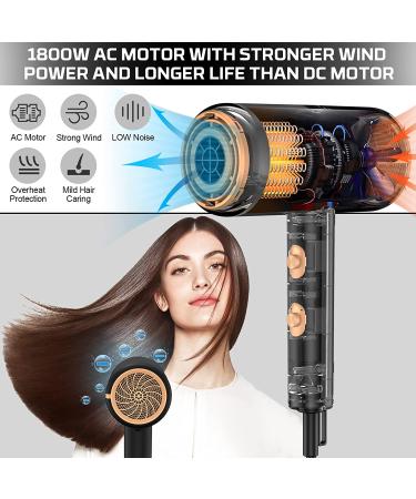 Ionic Hair Dryer 1800W with Multiple Settings, Nozzles, and Diffuser - Fast Drying & Constant Temperature Hair Care - Frosted/Black Gold - Ideal for Travel, Home, Salon - Buy Online on GoSupps.com