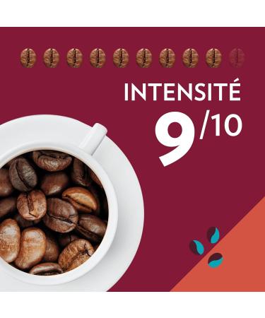 Lavazza Tales of Napoli Coffee Beans 1.5 kg for Automatic Coffee Machines Cocoa and Caramel Notes Arabica and Robusta  - Buy Online on GoSupps.com