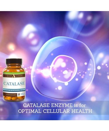 Catalase 12,500 Catu Dietary Supplement - Supports Liver Health, Skin, Hair, Blood & Cholesterol - 30 DR Caps - Buy Online on GoSupps.com