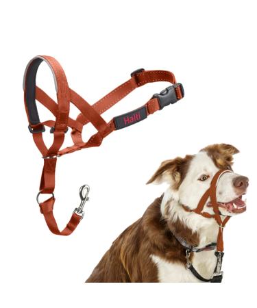 Halti head harness-prevents your dog from pulling on a leash simple adjustment light with a padded nose strap anti-pull neck band for medium-sized dogs (size 2 dark orange) dark orange