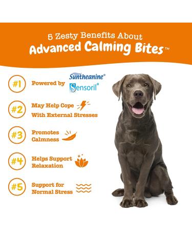 Zesty Paws Calming Chews for Dogs - Stress Relief with Ashwagandha & Melatonin - Buy Online on GoSupps.com