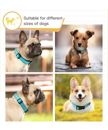 Heele Reflective Dog Collar - Soft Neoprene Padded Nylon for Small Medium Large Dogs - Adjustable Sky Blue (26-38cm) - Buy Online on GoSupps.com