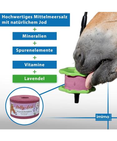 Buy Imima Lolly Lick Set - Banana Lavender Bronchial 1x Holder 2.49 kg | International Shipping Available - Buy Online on GoSupps.com