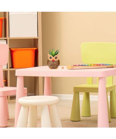 DIY Ceramic Owl Succulent Pots Paint Craft Kit - Set of 6 | Unpainted Bisque Ceramic Flowerpots for Kids Classroom Activities - Buy Online on GoSupps.com