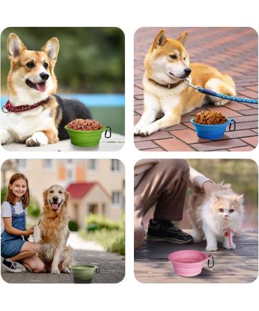 Buy Petbonus Foldable Dog Bowls - 2 Pack Silicone Water & Feed Bowls (Violet Pink) - Portable Leak-Proof Travel Bowl with Carabiners for Dogs - Buy Online on GoSupps.com