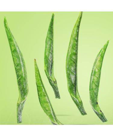 HQZM Premium Green Tea 125g 440oz Picked Preming From Guizhou China Queshe Tea Fresh and Sweet - Buy Online on GoSupps.com