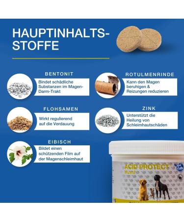 Nutrilabs Canicox HD Journey Tablets - Joint Support for Dogs with Glucosamine Chondroitin & Stomach Herbs - 100 Chewable Tablets - Buy Online on GoSupps.com