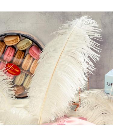 Piokio 20 pcs White Ostrich Feathers Plumes 10-12 inch | DIY Christmas & Wedding Party Decorations - Buy Online on GoSupps.com