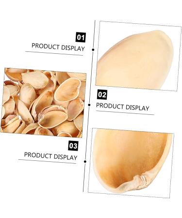 NUOBESTY Pistachios 1 Pistachio Shell Craft for Kids Crafts Supplies for Kids Handmade Supplies Turkey Child Natural As Shown 2X1.2CM - Buy Online on GoSupps.com