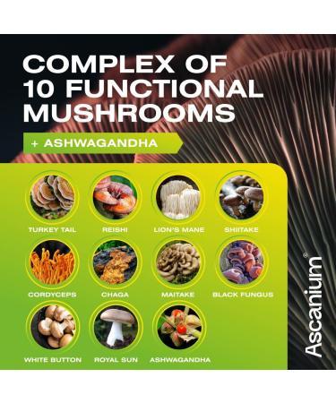 ASCANIUM Mushroom Gummies 120 pcs - 10 Mushrooms Blend with Lions Mane Turkey Tail Reishi Cordyceps for Mind and Focus - Mushroom Supplement Gummies with Ashwagandha - Buy Online on GoSupps.com