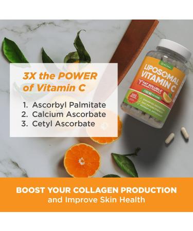 DACHA Nutrition Liposomal Vitamin C - 200 Capsules | Natural Immune Support - Buy Online on GoSupps.com