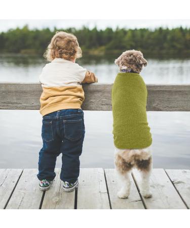 Shop Hjumarayan Thin Dog Sweater for Medium-Sized Dogs | Washable Striped Fleece Shirt for Corgis & Dachshunds - Buy Online on GoSupps.com