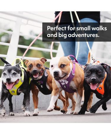Hurtta Weekend Warrior Eco Dog Harness - Rosehip (32-39 in) | Durable Comfortable & Eco-Friendly for International Shipping - Buy Online on GoSupps.com
