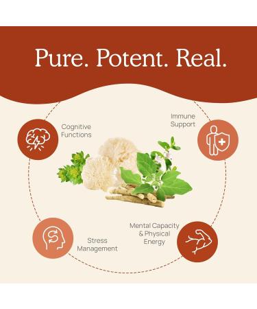 Real Mushrooms RealClarity (60ct) & Lions Mane (120ct) Capsules w/Cordyceps Powder Bundle - Mushroom Supplement for Mental Clarity Focus Cognition Energy & Vitality - Vegan Non-GMO - Buy Online on GoSupps.com
