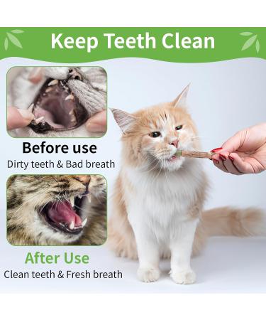 6 Pieces Catnip Sticks & Matatabi Cat Toys | Natural Interactive Chew Toys for Cats - Buy Online on GoSupps.com