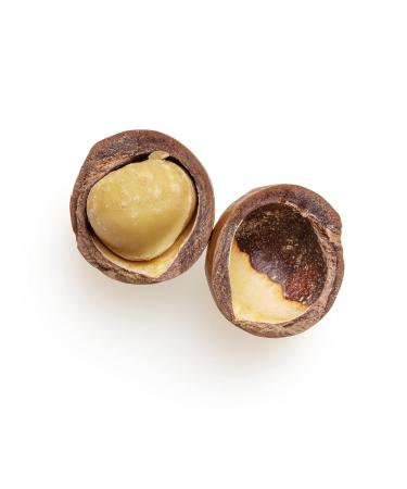 Buy Kamelur 1kg Organic Raw Macadamia Nuts - Class 1 Unshelled & Untreated - Premium Quality for Healthy Snacking - Buy Online on GoSupps.com