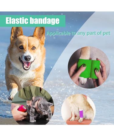 12PC Self-Adhering Cohesive Bandages - 5cm x 4.5cm Elastic Wrap for Horses Dogs & Humans - Durable & Flexible Adhesive Bandage - Buy Online on GoSupps.com