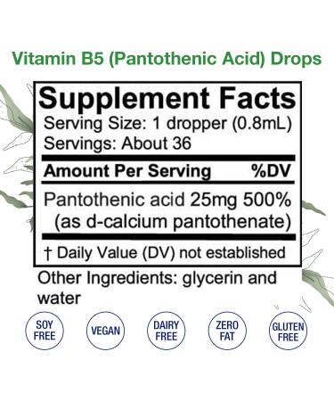 Vitamin B5 (Pantothenic Acid) Drops Liquid Vitamin B5 to Maintain Healthy  Hormones Heart Health Immune System Support Healthy Hair Skin Nails Vegan  Alcohol-Free Vitamin B Extract 1 Fl Oz. 1 Fl Oz (