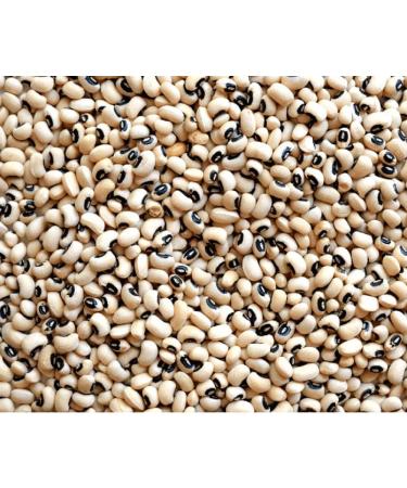 Organic Black Eye Beans (Lobia/ Cowpea White) 1kg - Buy Online on GoSupps.com