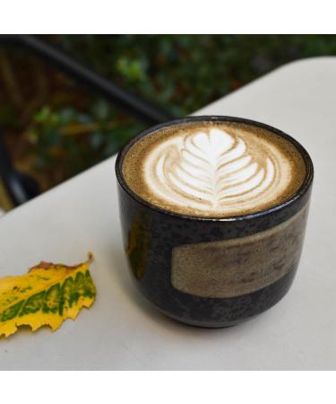  Sencha Tea Hojicha Latte Japanese Roasted Tea Powder and Cane Sugar | Ideal for Hot & Iced Lattes | JAS Certified | 120g in Resealable - Buy Online on GoSupps.com