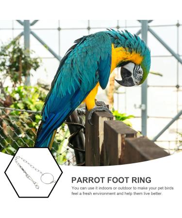 CIYODO 1 Set Parrot Anklet Parrot+Ring+Foot Bird Harness Parrot Foot Ring Bird Leash Conure Stainless Steel 23X4X0.1cm Silver - Buy Online on GoSupps.com