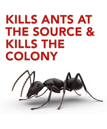 Raid Ant Killer Baits And Traps For Indoor Use Child Resistant 4 Count Trap 4 Count - Buy Online on GoSupps.com