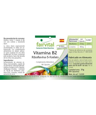 Fairvital | Riboflavin-5-Phosphate - Bioactive form of vitamin B2 - Highly dosed - VEGAN - 90 Capsules - Buy Online on GoSupps.com