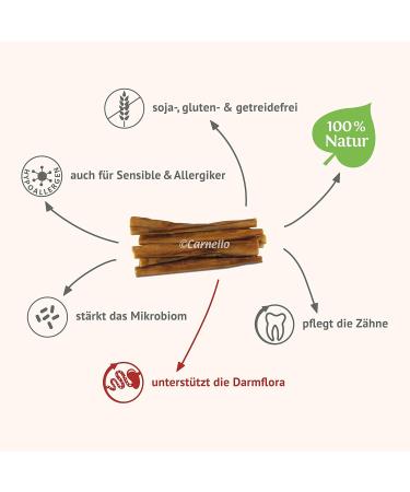 Carnello Hundeleckerli for Small Dogs - Grain-Free Puppy Spaghetti Treats | Healthy Dog Snacks (4 x 30g Pack) - Buy Online on GoSupps.com