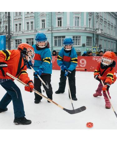 Sewroro Roller Hockey Puck - Perfect for Street & Inline Hockey - Low Friction Outdoor Puck for Scooters & Bikes - Buy Online on GoSupps.com